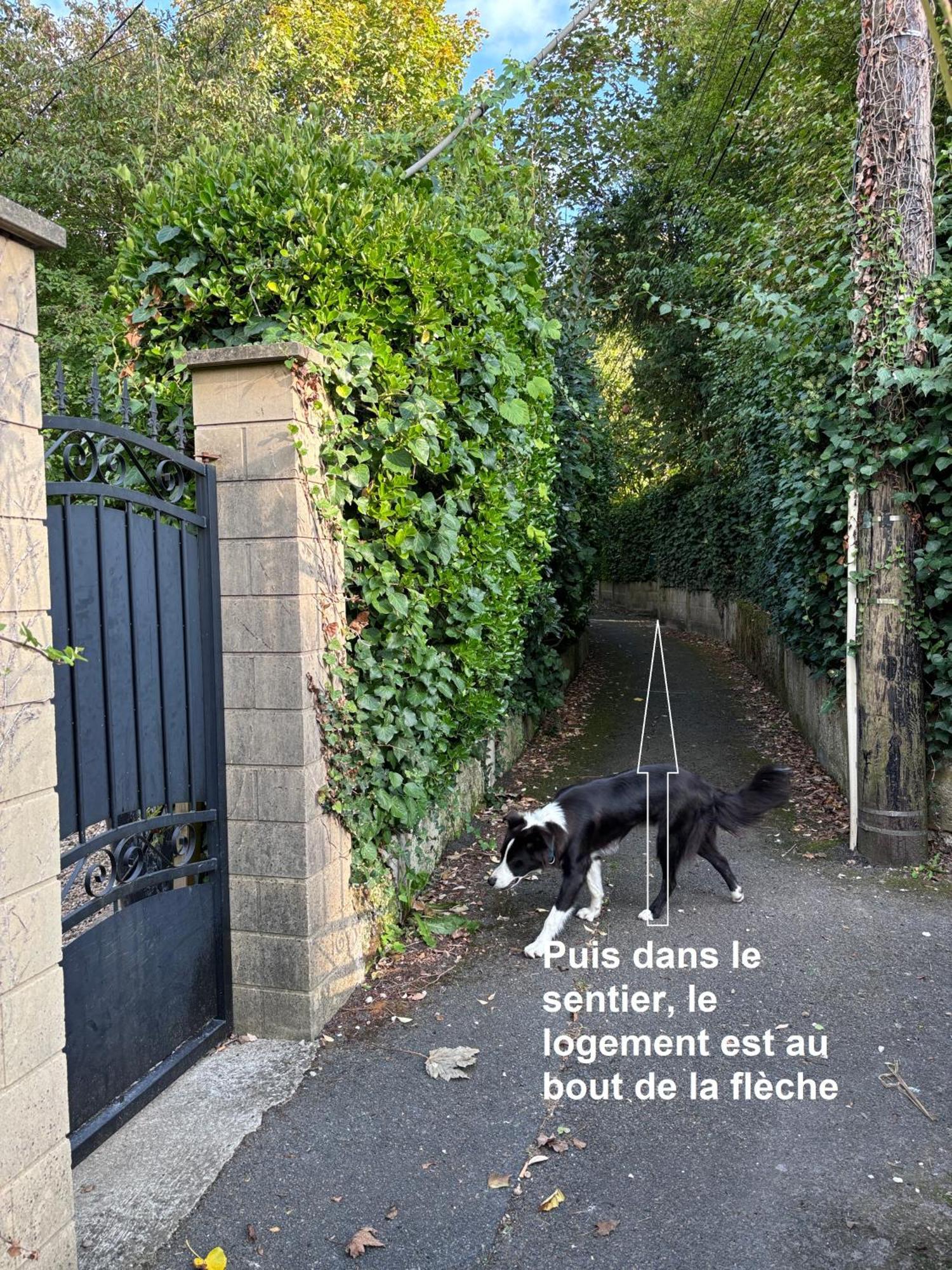 Merig'Home Chambre Bd Climatisee Dans Maison Avec Piscine Au Calme En Ville, Sdb & Toilettes Prives Angoulême Екстериор снимка